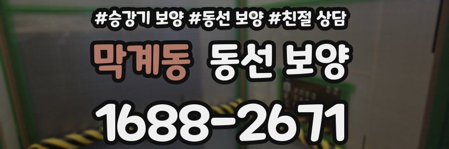 막계동 동선 보양