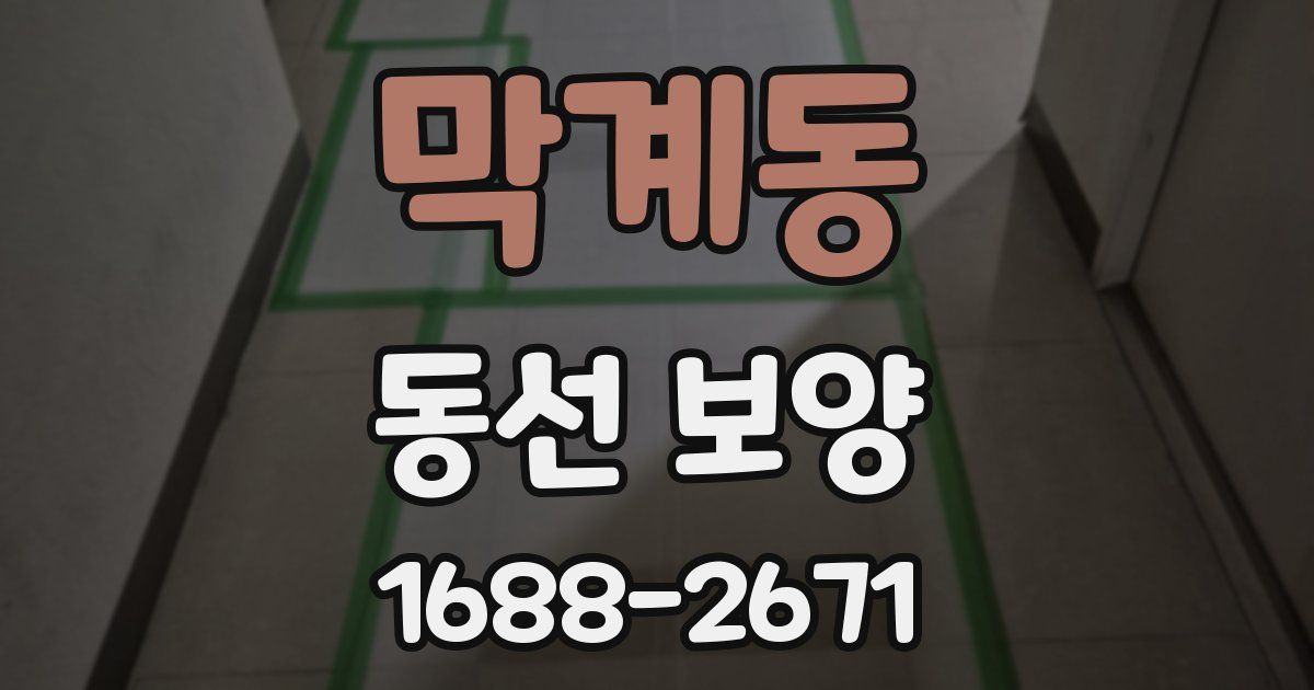 막계동 동선 보양