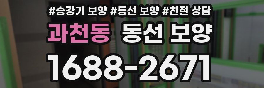 과천동 동선 보양