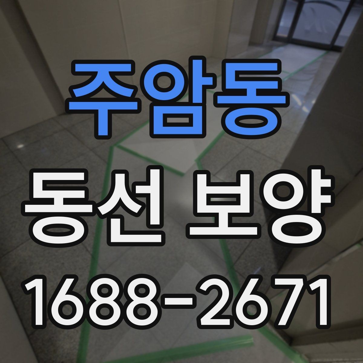 주암동 동선 보양 선택 전 확인하면 좋은 기준