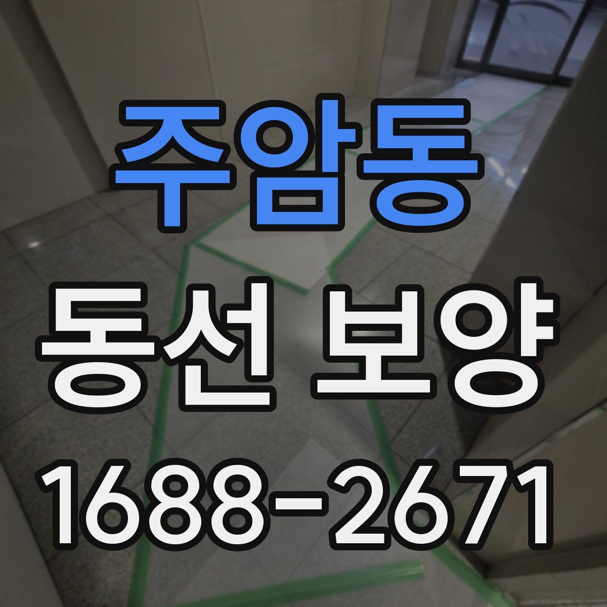 주암동 동선 보양