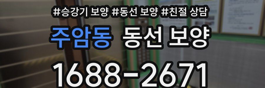 주암동 동선 보양