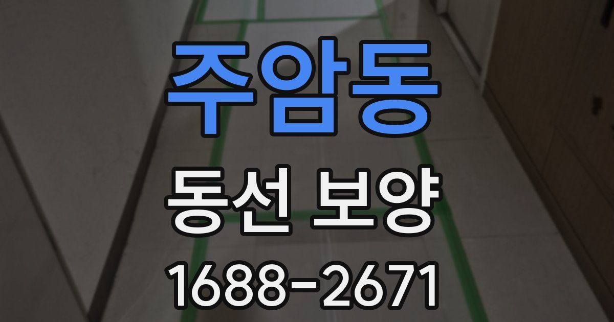 주암동 동선 보양