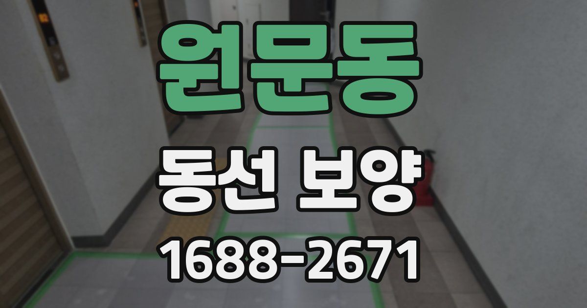원문동 동선 보양