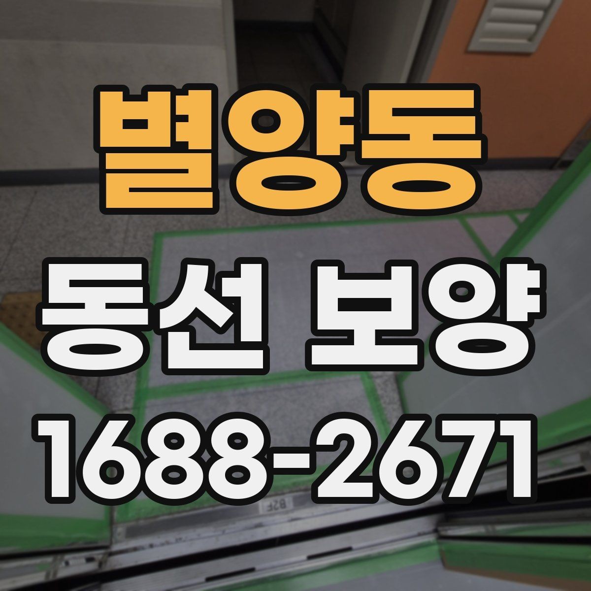 별양동 동선 보양 현장별로 달라지는 작업 포인트