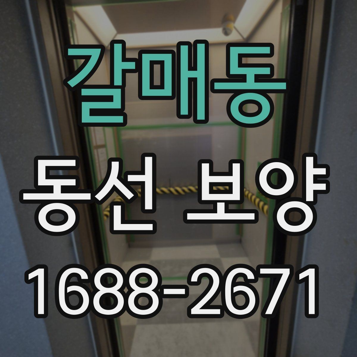 갈매동 동선 보양 마감 상태를 오래 유지하는 방법