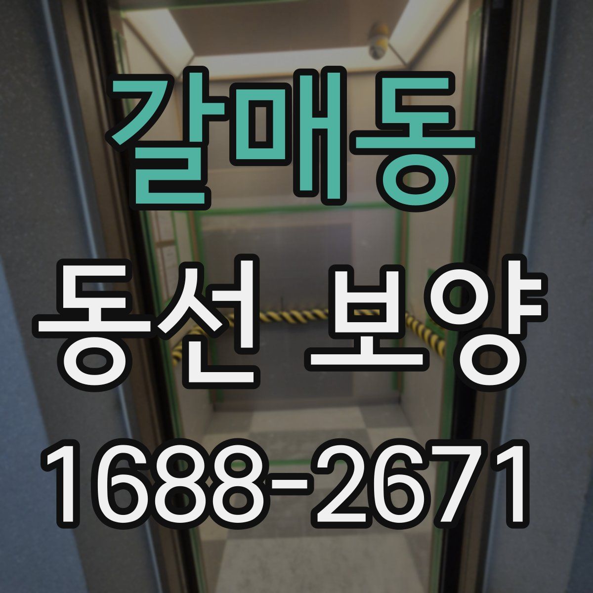 갈매동 동선 보양