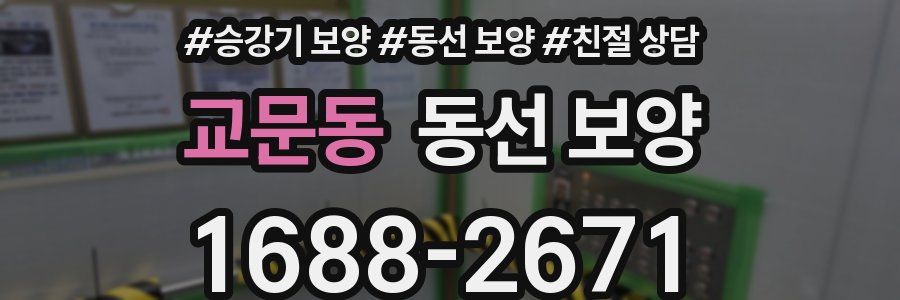 교문동 동선 보양