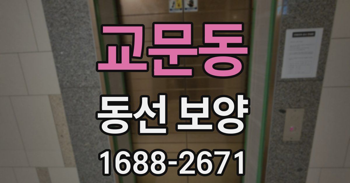 교문동 동선 보양