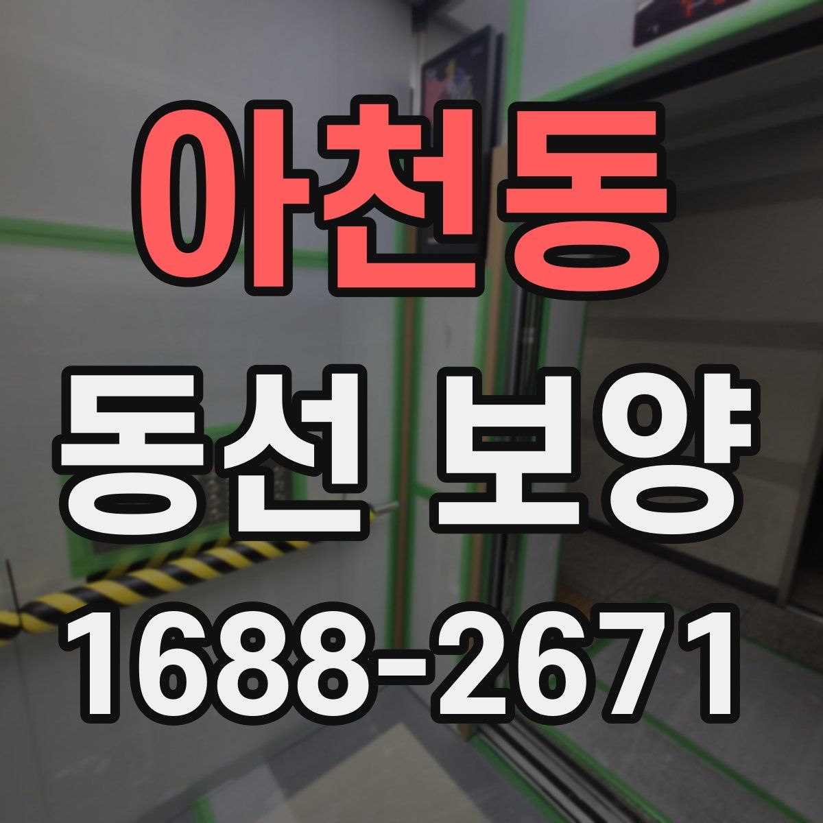 아천동 동선 보양