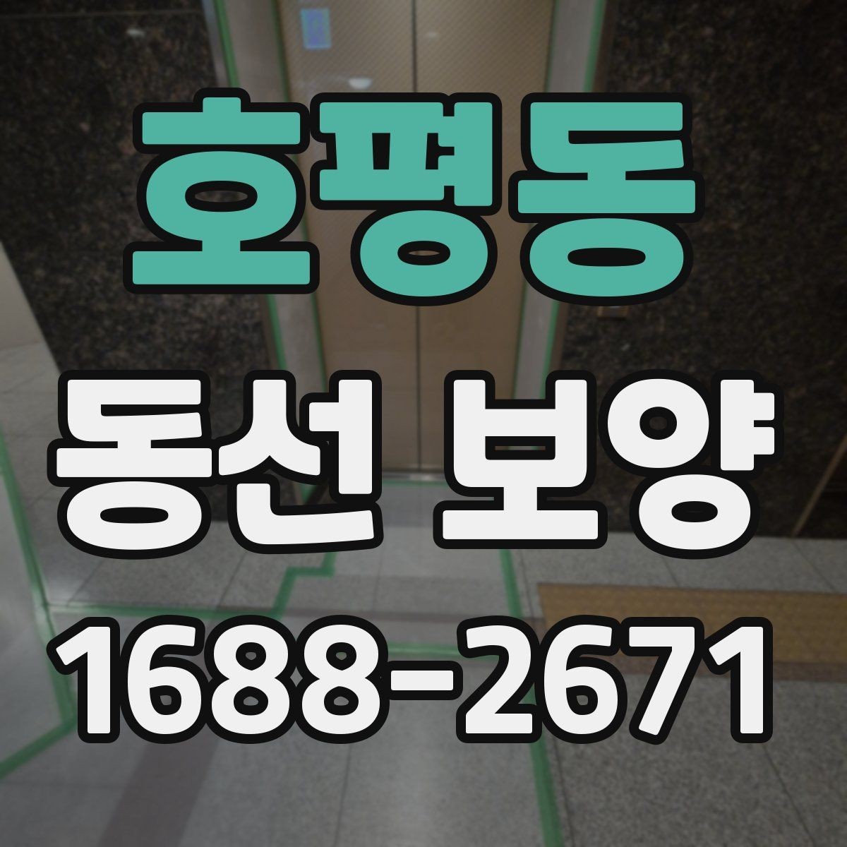 호평동 동선 보양 계획 세울 때 고려할 조건
