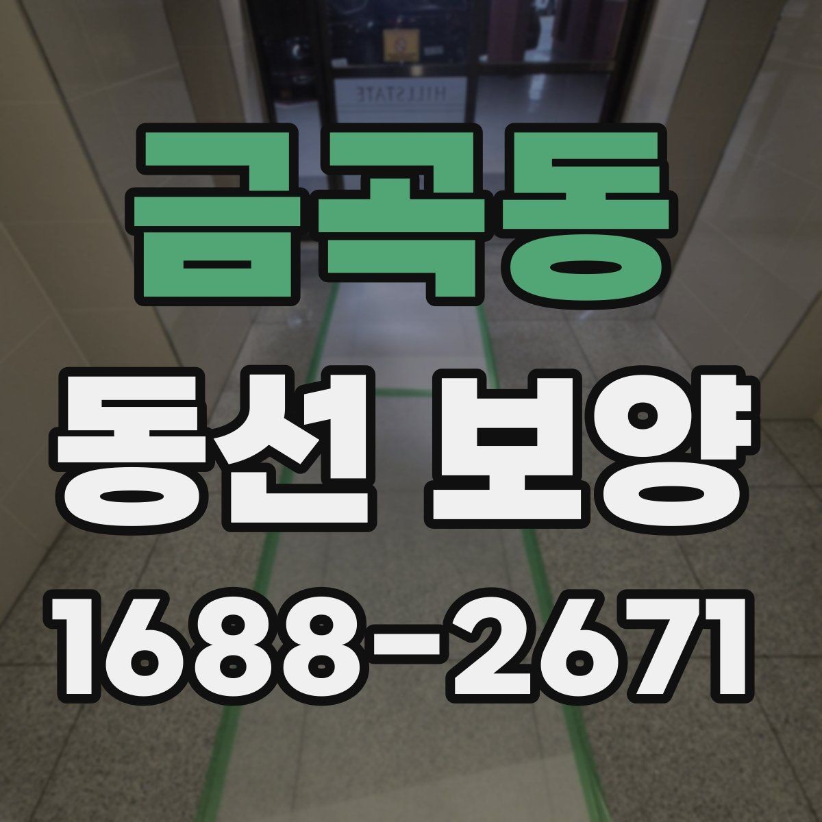 금곡동 동선 보양 작업이 필요한 이유와 작업 진행 순서