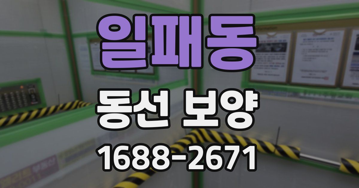 일패동 동선 보양