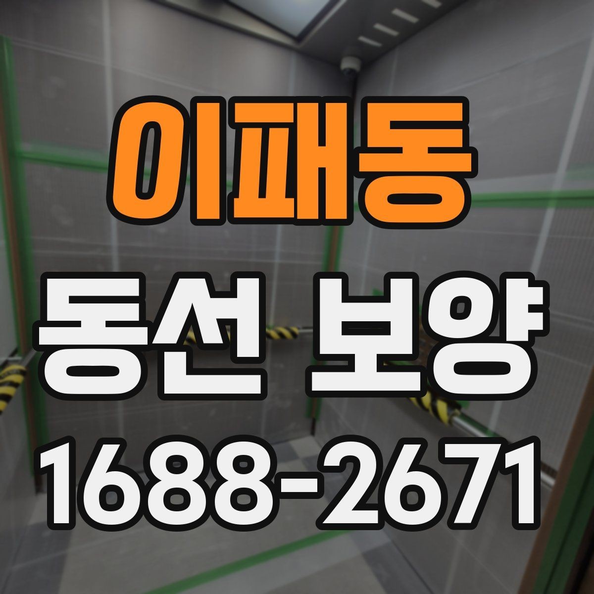 이패동 동선 보양 자재 판단 기준과 활용법