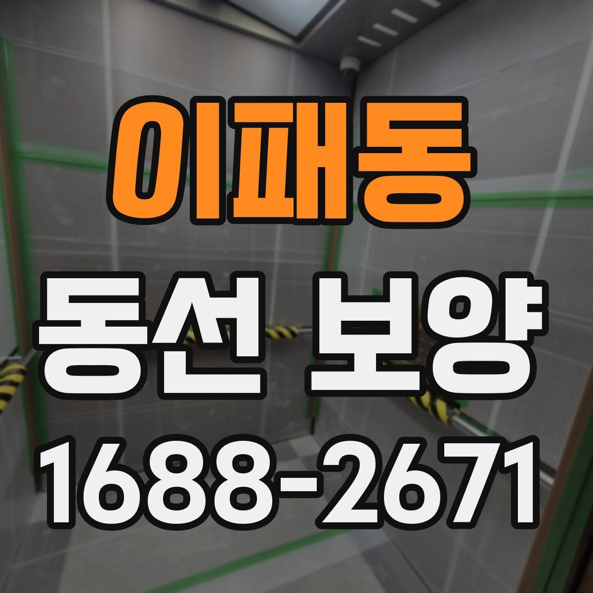 이패동 동선 보양
