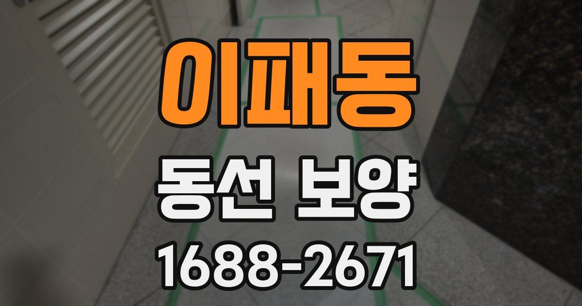 이패동 동선 보양