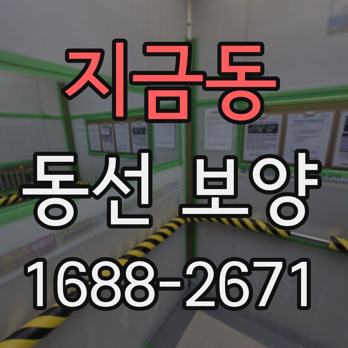 지금동 동선 보양 과정별 역할과 확인 포인트