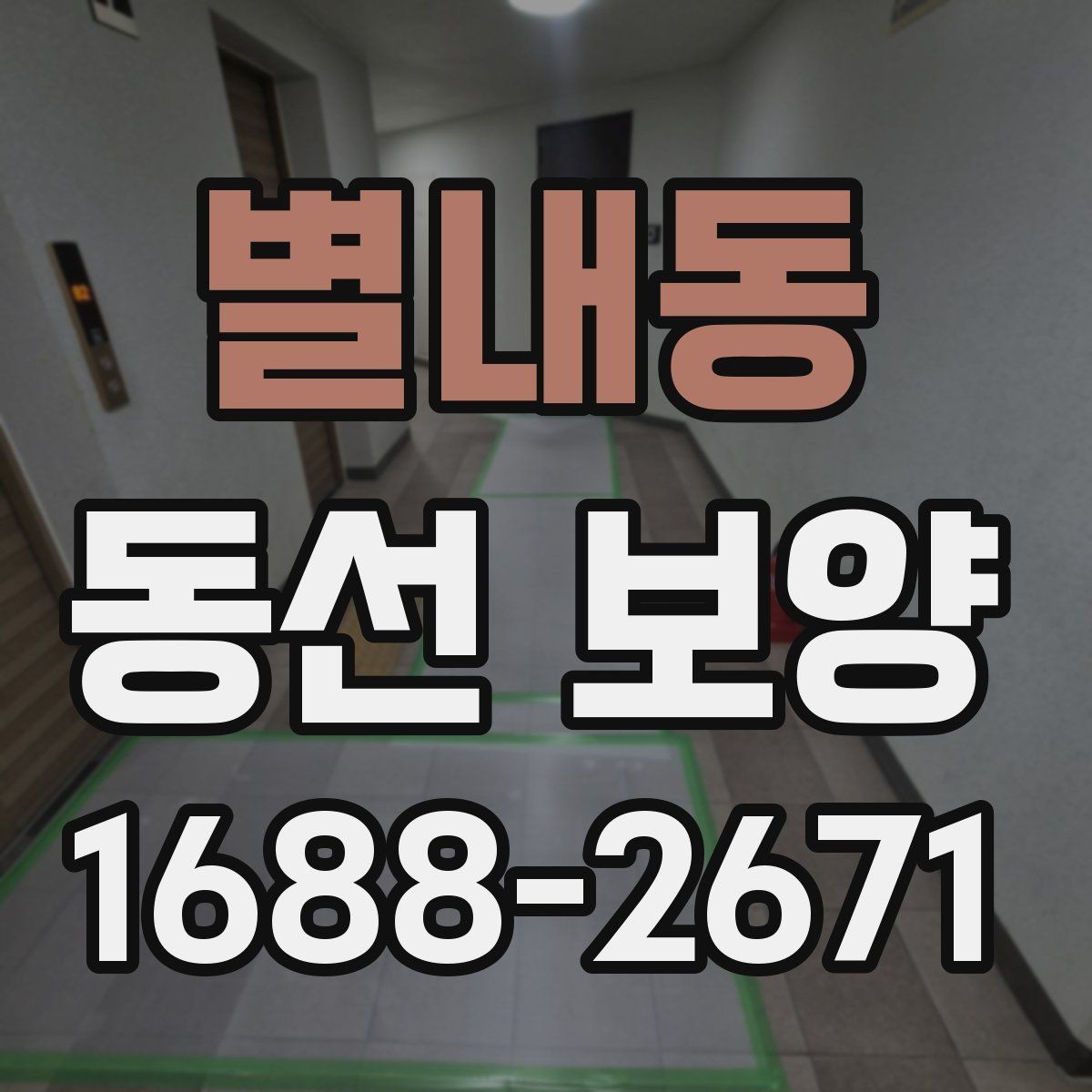 별내동 동선 보양 작업이 필요한 대표 상황