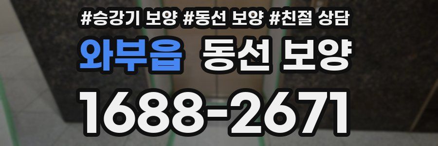 와부읍 동선 보양