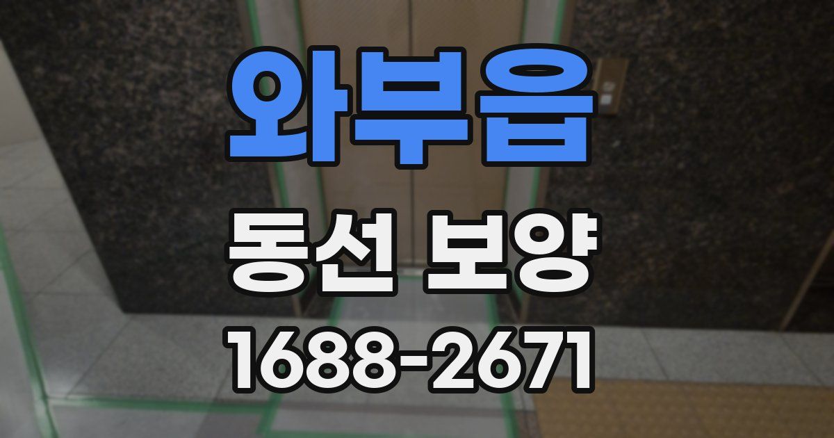 와부읍 동선 보양