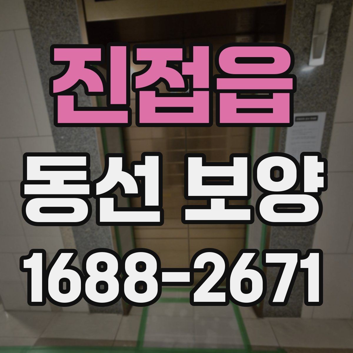 진접읍 동선 보양 작업 시 인원 배치가 중요한 이유