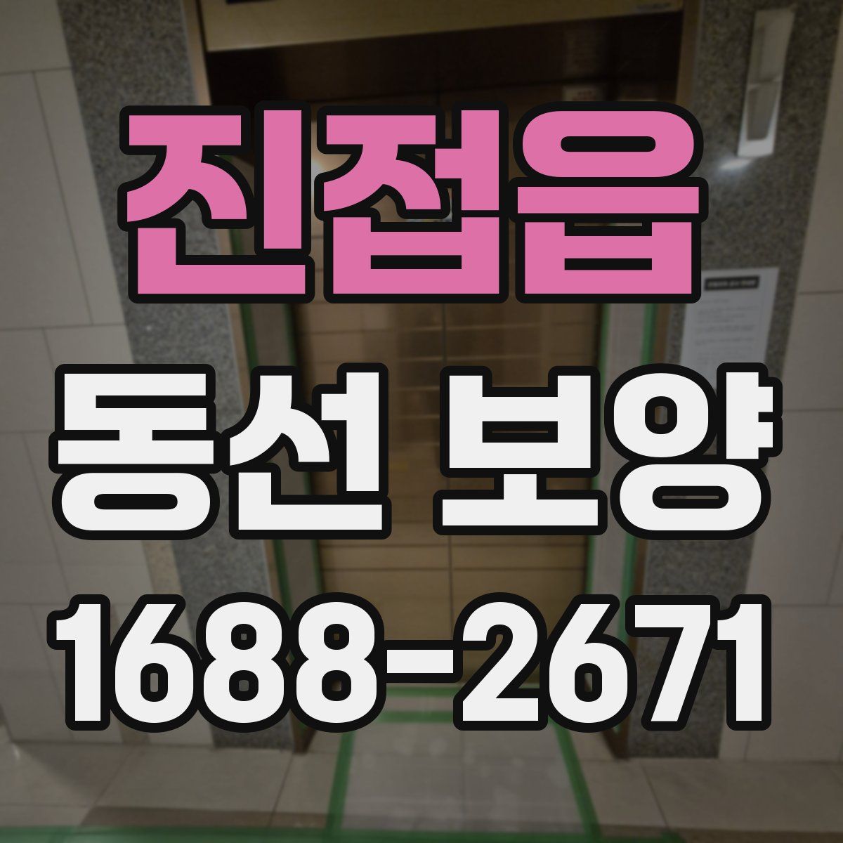진접읍 동선 보양