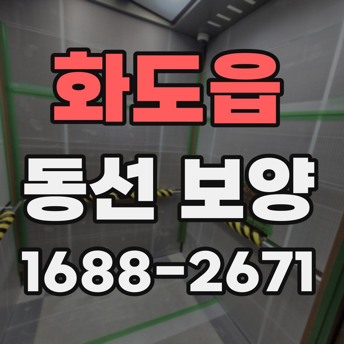 화도읍 동선 보양 시공을 맡기기 전 비교 포인트
