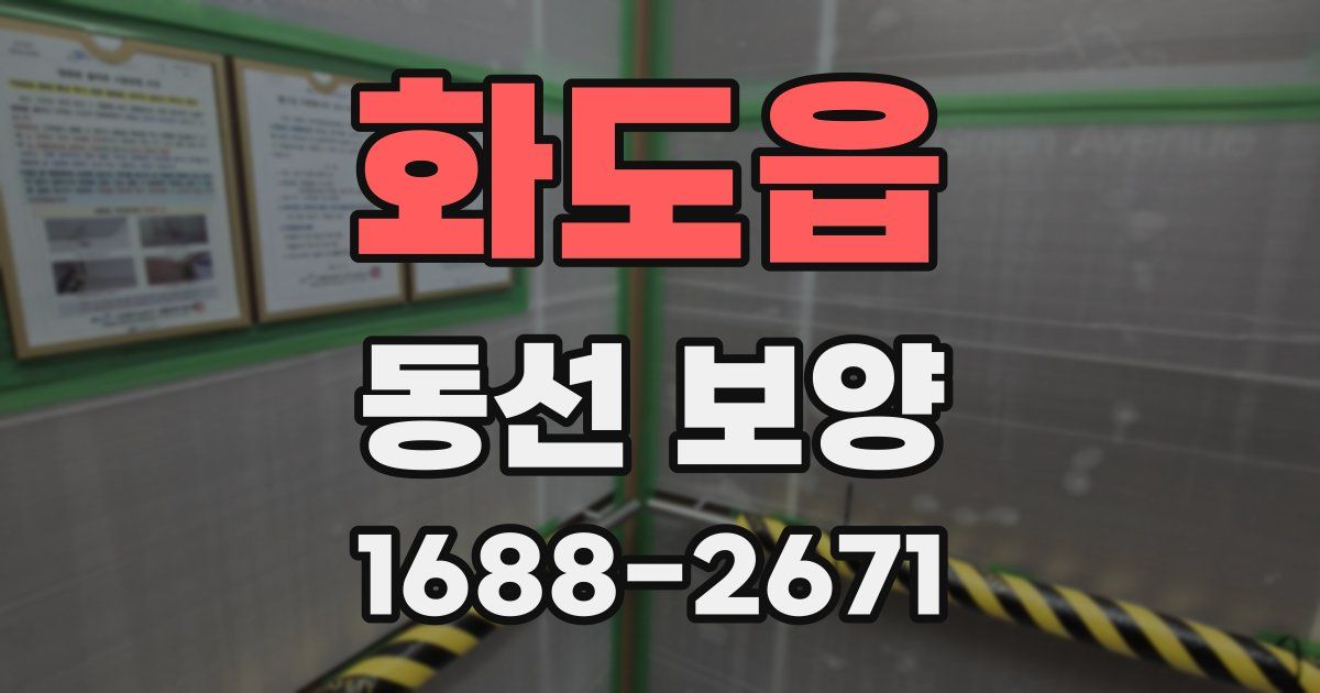 화도읍 동선 보양