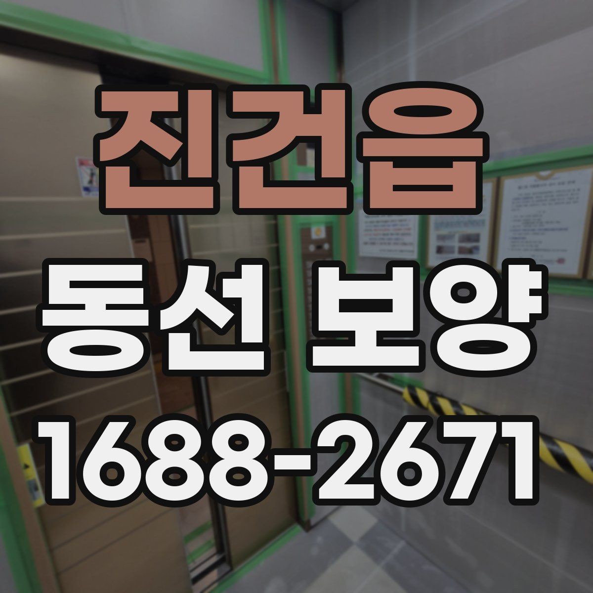 진건읍 동선 보양 적용 범위를 정하는 기준