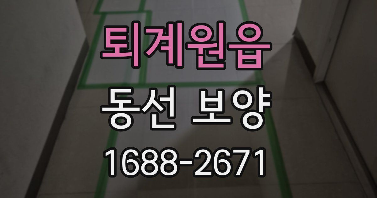 퇴계원읍 동선 보양