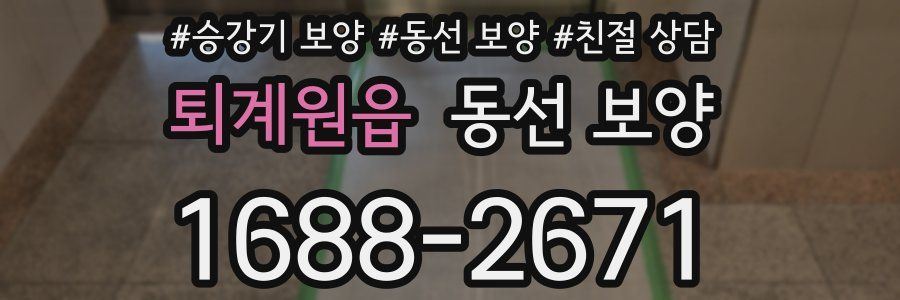 퇴계원읍 동선 보양