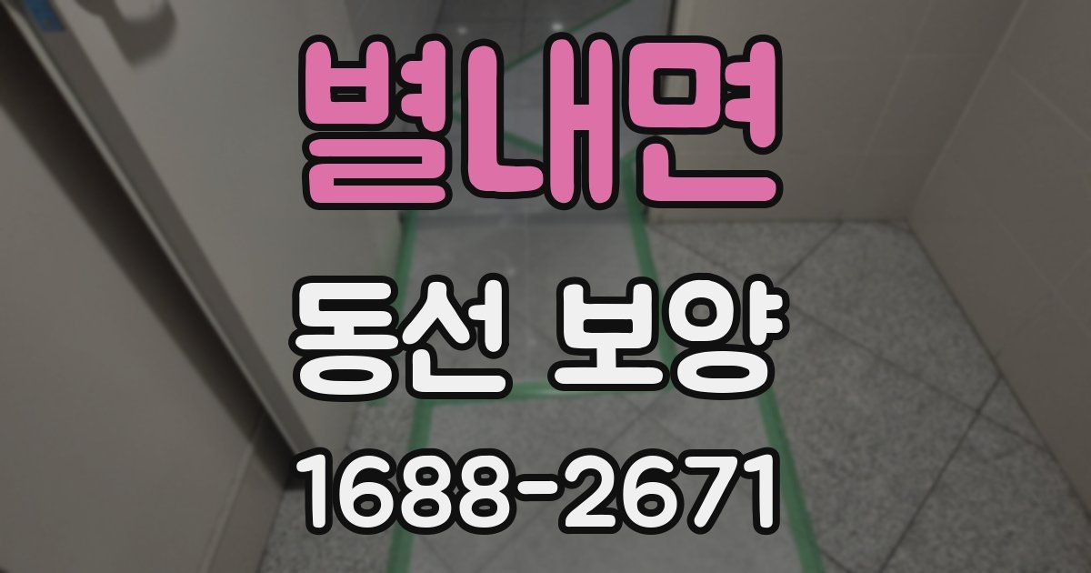 별내면 동선 보양