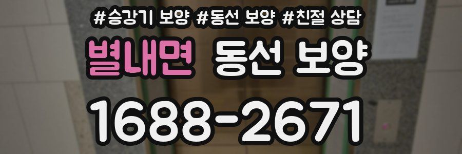 별내면 동선 보양