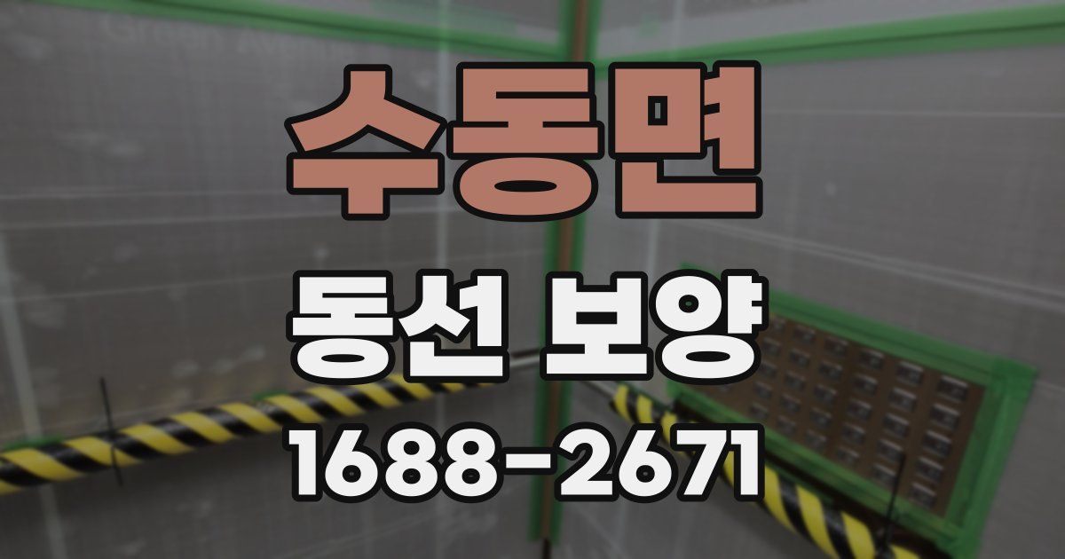 수동면 동선 보양