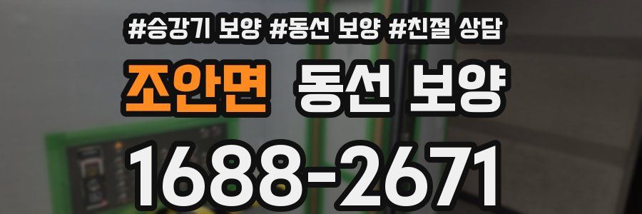 조안면 동선 보양