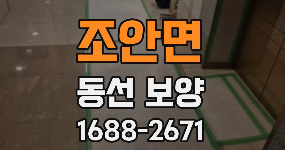 조안면 동선 보양