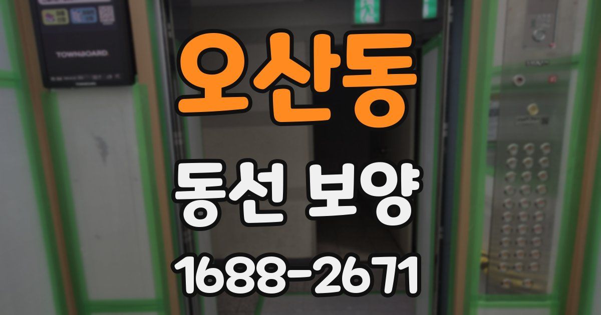 오산동 동선 보양