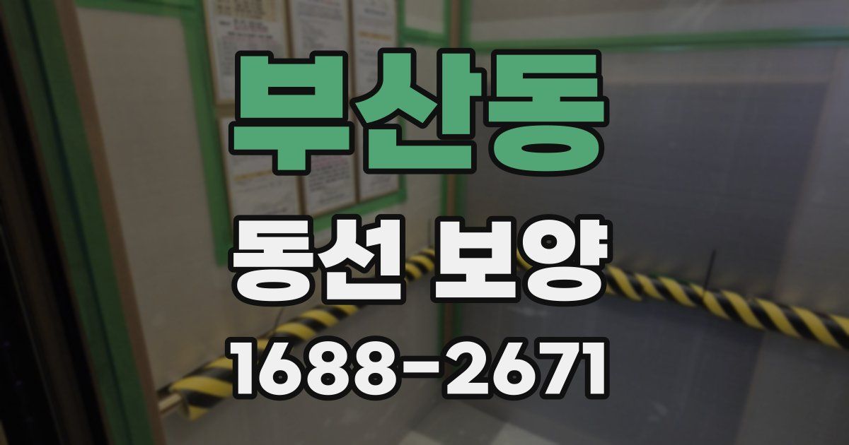 부산동 동선 보양