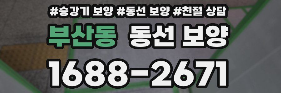 부산동 동선 보양