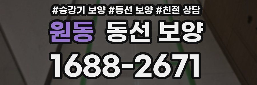 원동 동선 보양