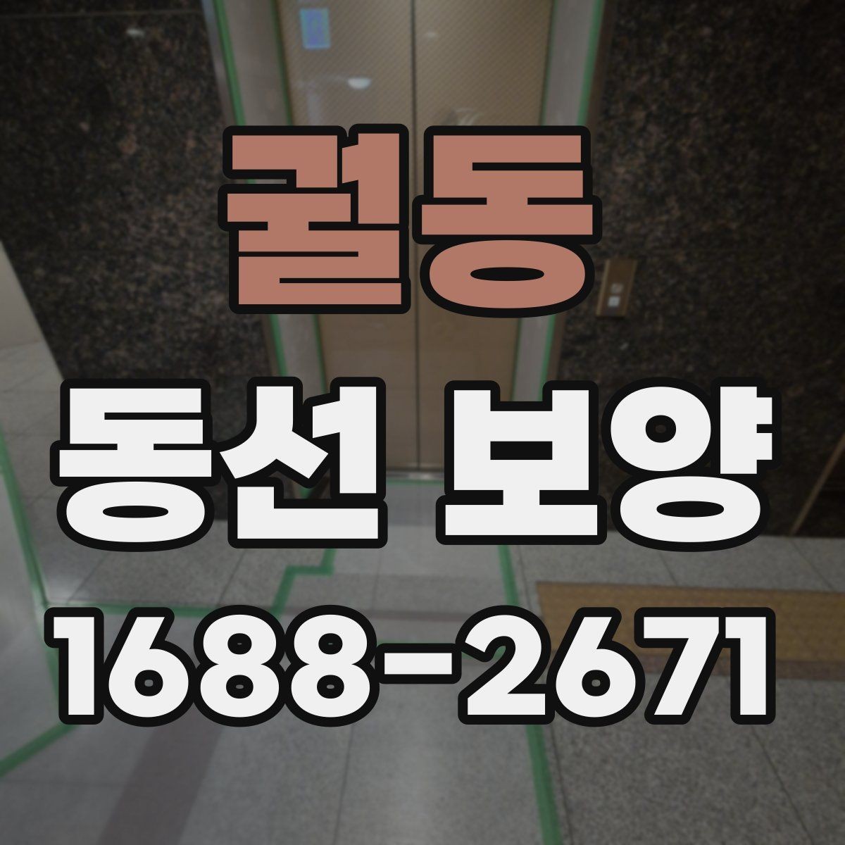 궐동 동선 보양 작업이 필요한 이유와 진행 순서