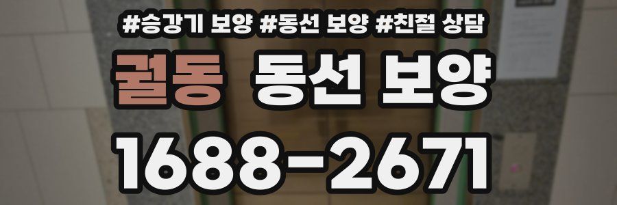 궐동 동선 보양