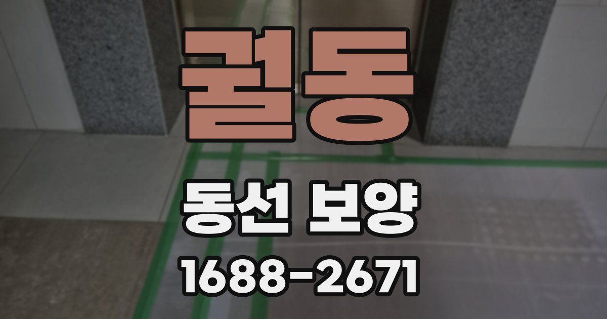 궐동 동선 보양