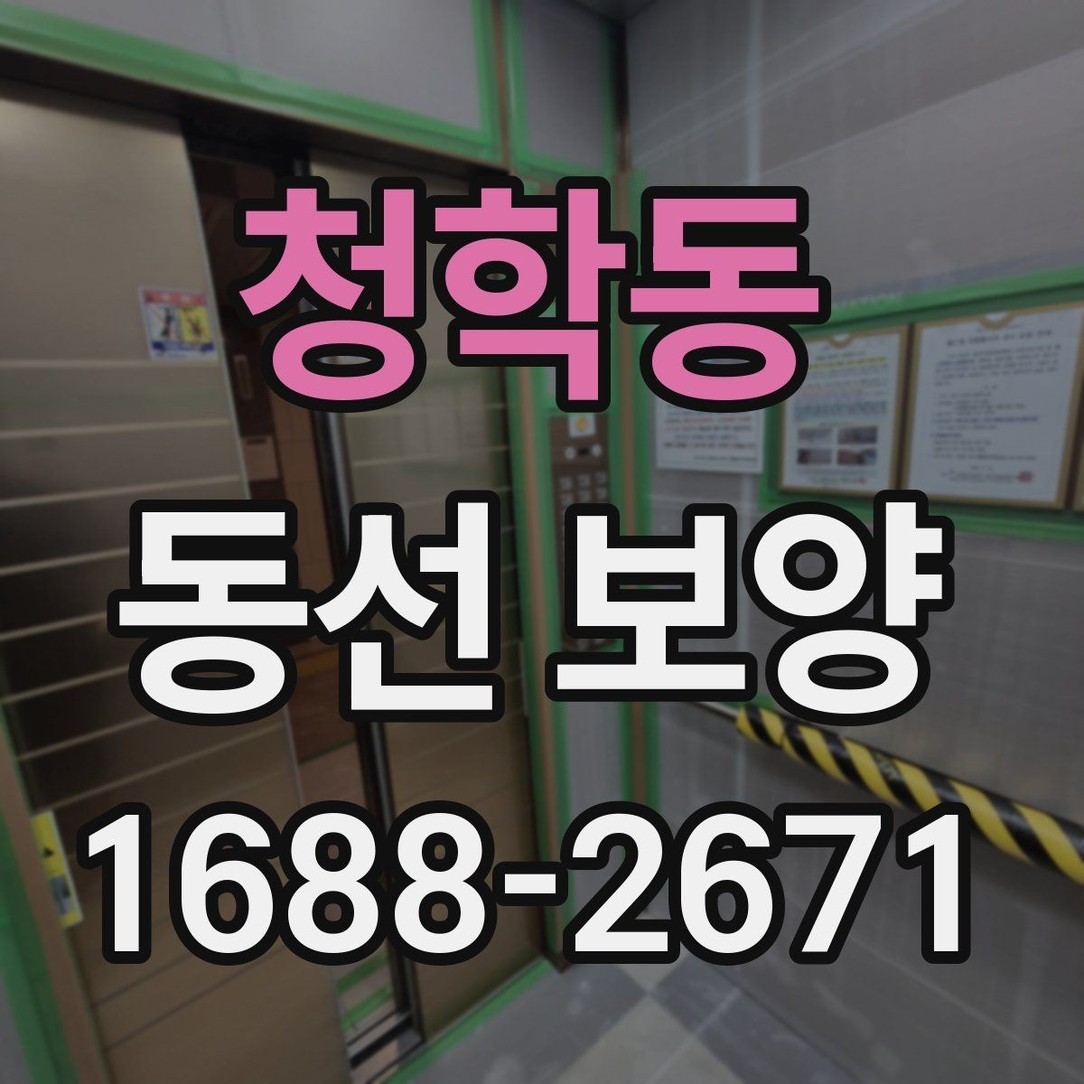 청학동 동선 보양 공사 전후 주의사항 한눈에 보기