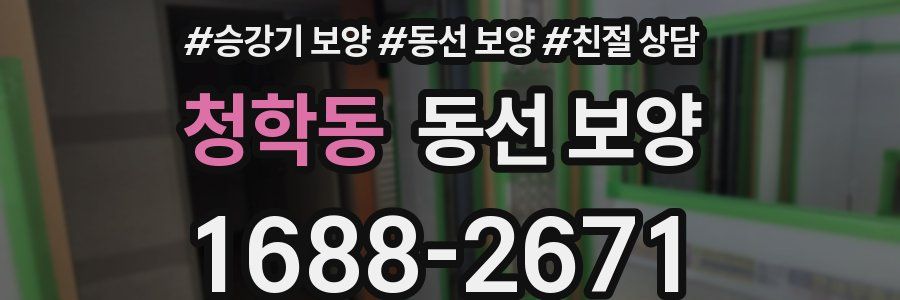 청학동 동선 보양