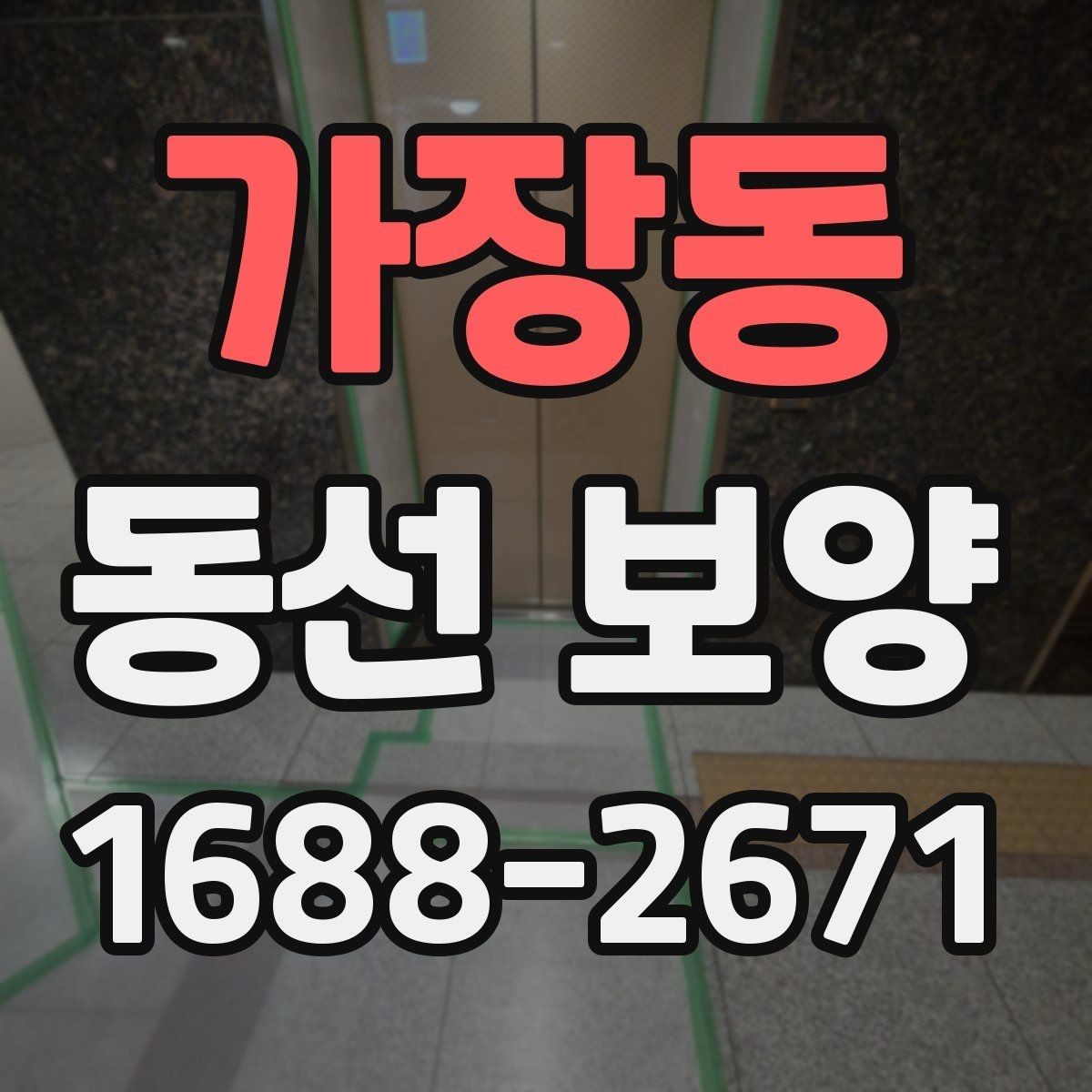 가장동 동선 보양 비용 견적을 볼 때 확인할 항목