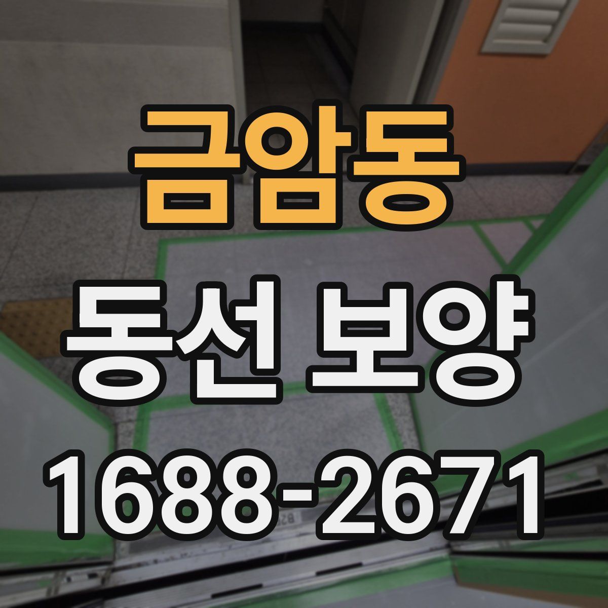 금암동 동선 보양