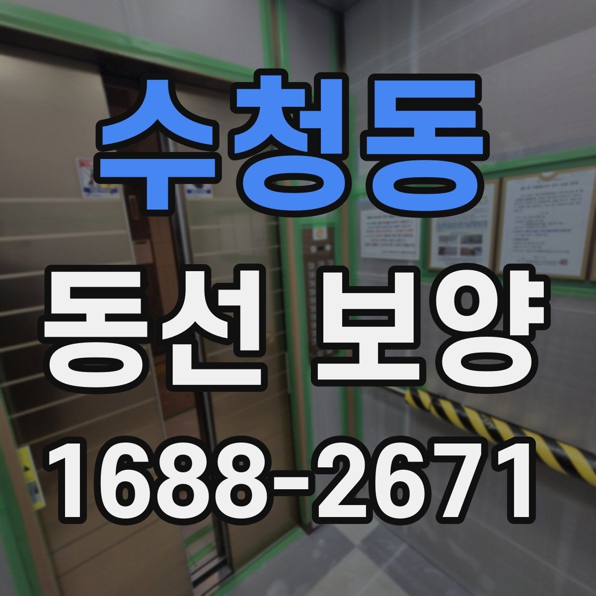 수청동 동선 보양 작업 전 체크해야 할 사항