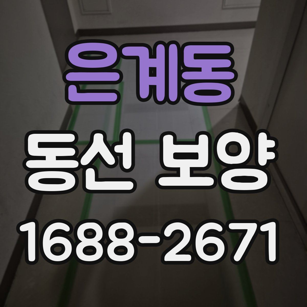 은계동 동선 보양 비용 견적을 볼 때 확인할 항목