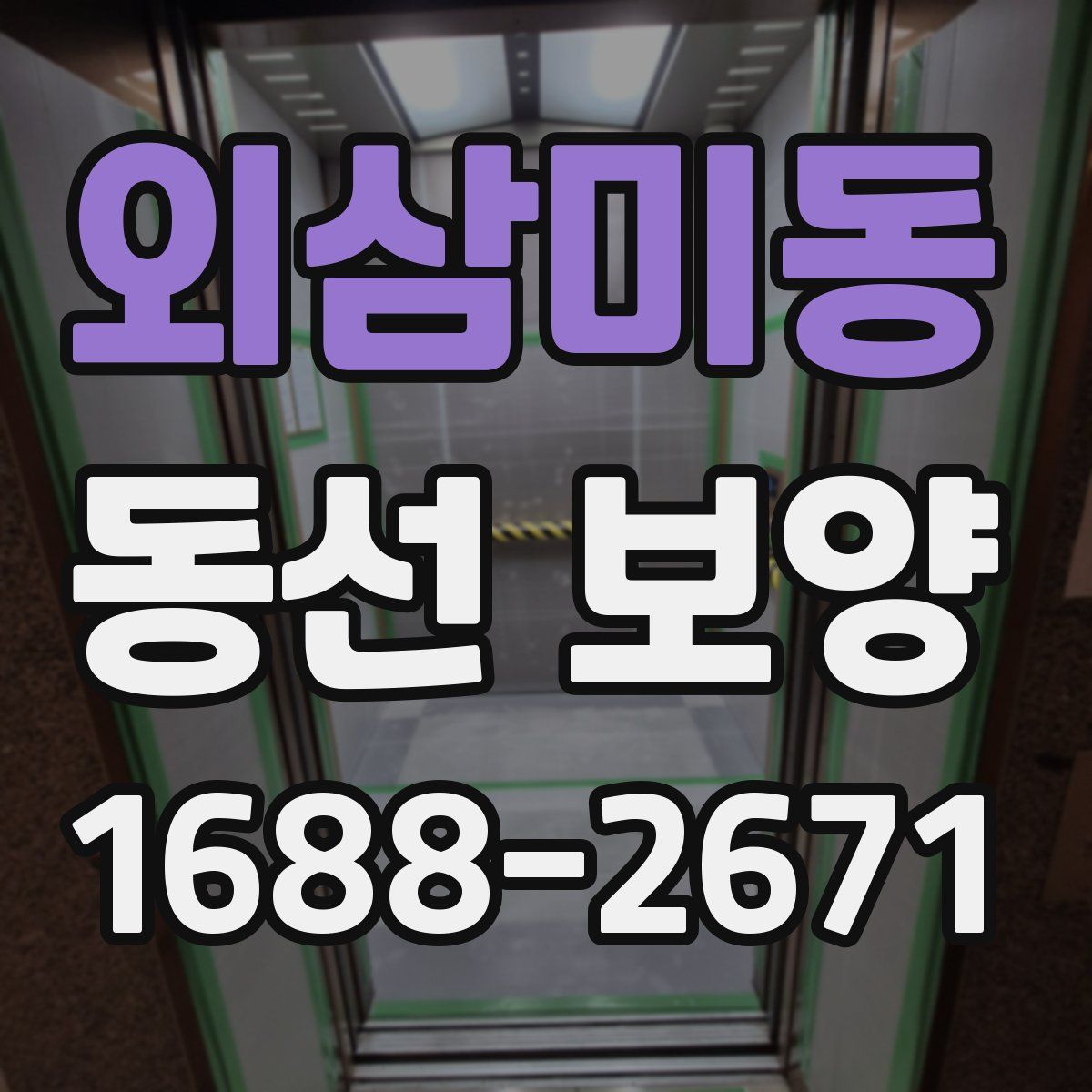 외삼미동 동선 보양